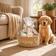 MamaRaya Personalized Dog Toy Basket